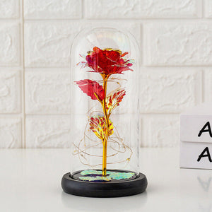 Forever Rose Flower in Dome Glass LED Night Light Anniversary Mother'S Day Gifts